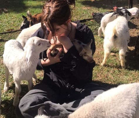 Animal rescue
